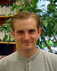 Stephen Lewis